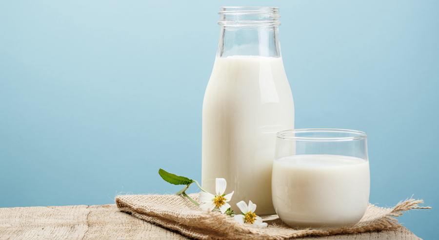 Czy mleko jest zdrowe dla dorosłych? Odpowiadamy