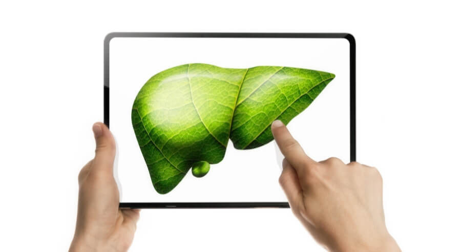 Co warto wiedzieć na temat regeneracji wątroby?