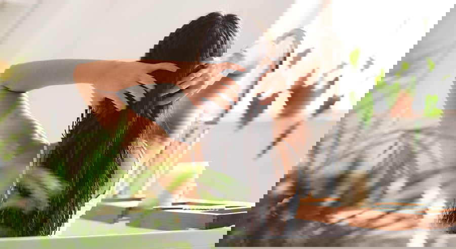 Jak pielęgnować włosy domowym sposobem? Proste do przygotowania maseczki i płukanki do włosów