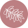 Kadzidłowiec indyjski (Boswellia serrata)